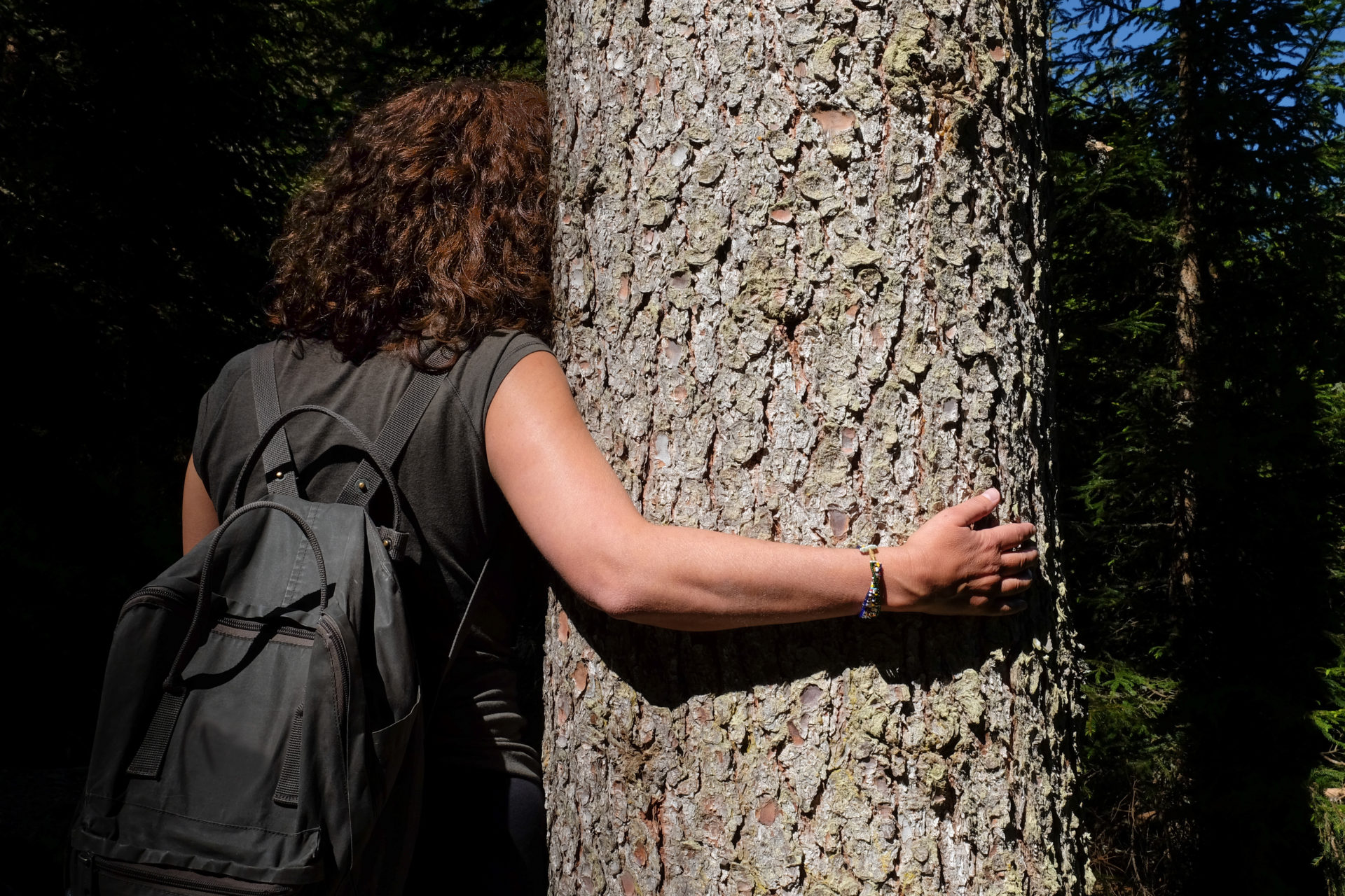 About nature therapy ~ Wellspring Nature Therapy